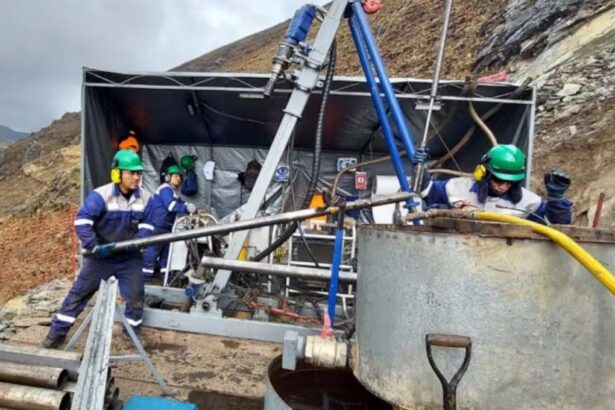 Descubre: Palamina identifica extensas anomalías de metales en proyecto peruano