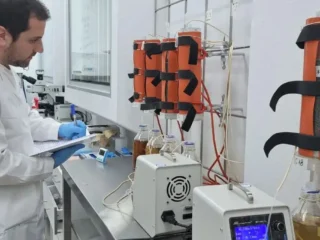 Chile patenta microorganismos que extraen cobalto de relaves y busca convertirse en segundo productor mundial