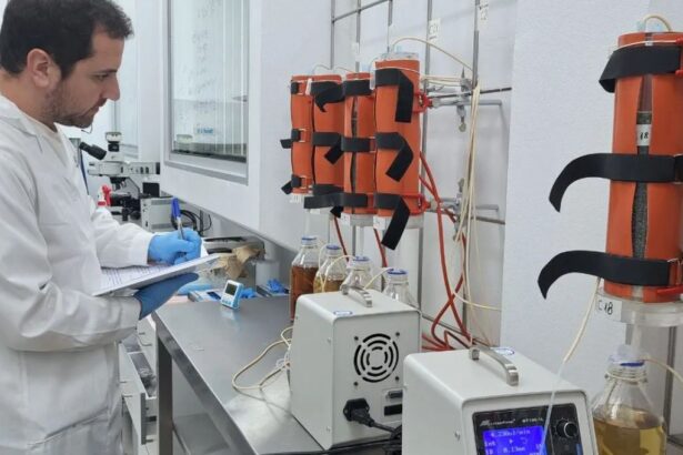 Chile patenta microorganismos que extraen cobalto de relaves y busca convertirse en segundo productor mundial