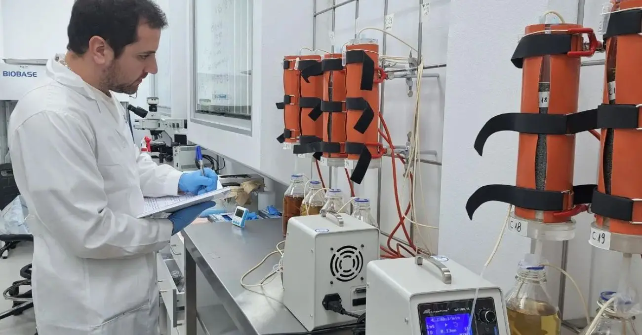 Chile patenta microorganismos que extraen cobalto de relaves y busca convertirse en segundo productor mundial Chile patenta microorganismos que extraen cobalto de relaves y busca convertirse en segundo productor mundial