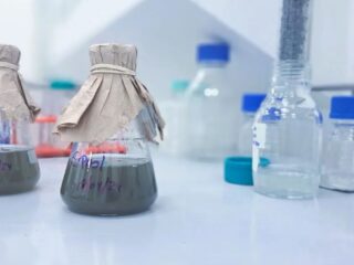Biotecnología chilena convierte relaves en fuente de cobalto y proyecta a Chile como potencia mundial