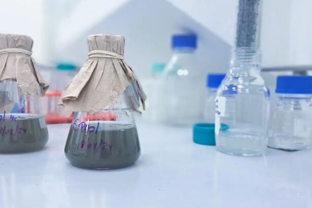 Biotecnología chilena convierte relaves en fuente de cobalto y proyecta a Chile como potencia mundial