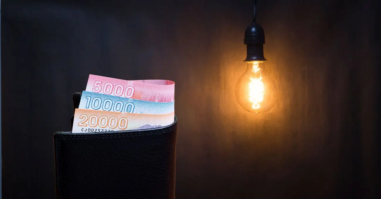 ¿Postulaste al Subsidio Eléctrico? Conoce dónde revisar si resultaste beneficiario