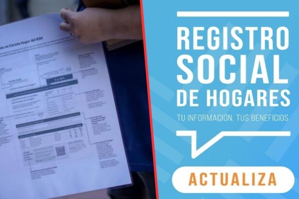 Registro Social de Hogares: Beneficios que puedes consultar en tu nueva cartola