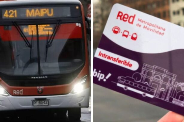 Rebaja del 50% en transporte público para adultos mayores: requisitos y formas de obtener la tarjeta