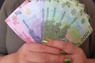 Consulta con tu RUT si recibes en agosto el bono de $58.000 entregado por el IPS