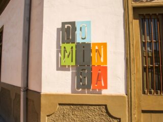 Proyecto Dominga: Tribunal Constitucional declara inadmisible requerimiento de organizaciones