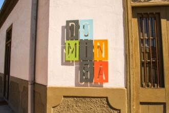 Proyecto Dominga: Tribunal Constitucional declara inadmisible requerimiento de organizaciones
