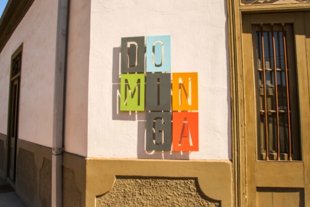 Proyecto Dominga: Tribunal Constitucional declara inadmisible requerimiento de organizaciones