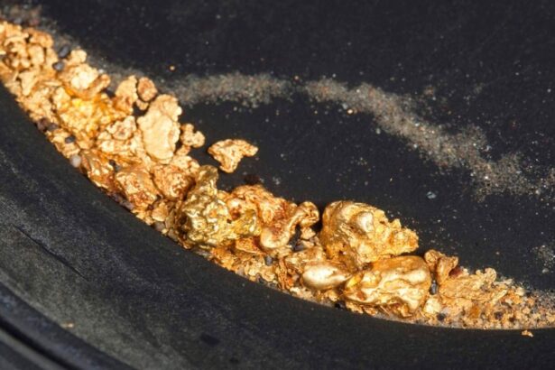 Compañía canadiense descubre reservas de oro de alta ley en el sureste de Surinam