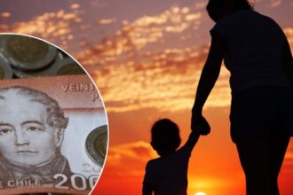 Bono por Hijo 2025: cómo consultar con tu RUT si te corresponde el beneficio de $25.280
