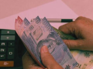 Familias reciben $21 mil por carga si cumplen requisitos del IPS: Revista con tu RUT si lo recibes