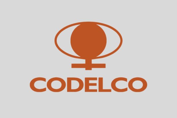 Codelco ofrece trabajo en distintas divisiones del país: Revisa cómo postular a las vacantes