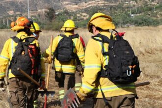 Conaf busca 3.500 brigadistas forestales para temporada 2025-2026: requisitos y proceso de postulación