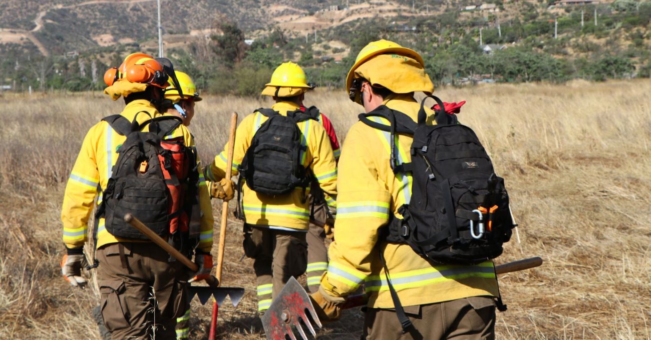 Conaf busca 3.500 brigadistas forestales para temporada 2025-2026: requisitos y proceso de postulación