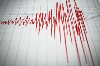 SHOA informa horas estimadas de llegada de tsunami tras sismo en Base Frei
