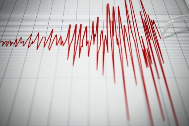 SHOA informa horas estimadas de llegada de tsunami tras sismo en Base Frei