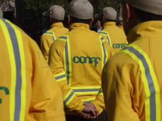 Conaf tiene ofertas de trabajo con sueldos de hasta $1,5 millones: Revisa cómo postular