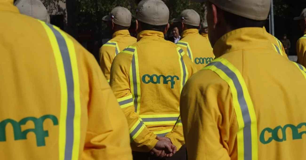 Conaf tiene ofertas de trabajo con sueldos de hasta $1,5 millones: Revisa cómo postular