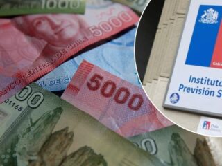 IPS en Línea: Plataforma permite acceder a tus beneficios económicos de forma rápida y sencilla