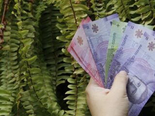 Beneficios estatales que se pagan en la última semana de agosto: fechas y montos