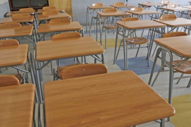 Vacaciones de verano para escolares: ¿Cuándo comienzan?