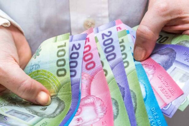 Subsidio Empleo Joven está entregando su pago anual: ¿Cuáles son los requisitos para acceder al beneficio?