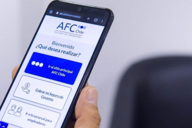 Consulta tu Seguro de Cesantía: revisa tu saldo en la AFC con Clave Única
