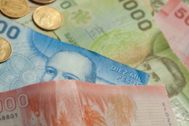 Revisa con tu RUT si te corresponde el Bono Dueña de Casa 2025 por $452.000