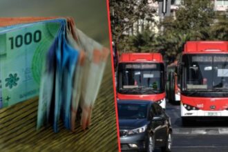 Cómo obtener la Tarjeta TAM para viajar con 50% de rebaja en transporte público