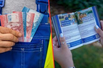 Estado de Chile organiza sus beneficios sociales por categoría para facilitar el acceso