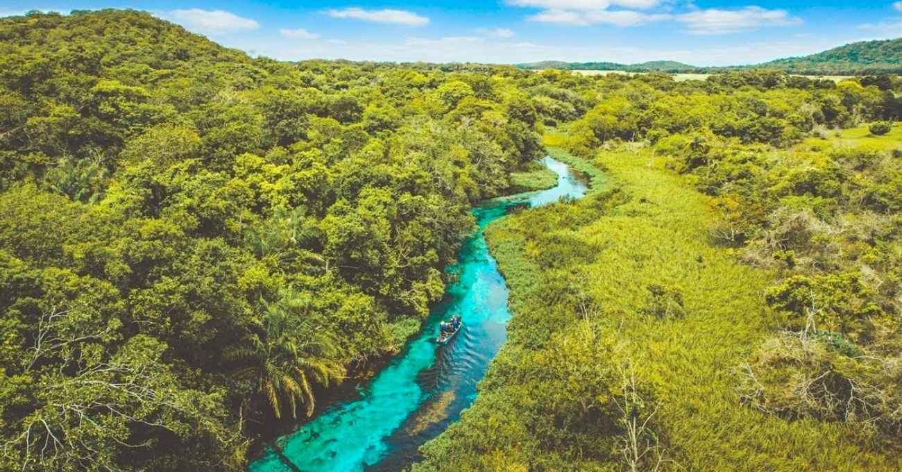Sucuriú: el megaproyecto de Arauco en Brasil que transformará la industria de la celulosa y generará miles de empleos