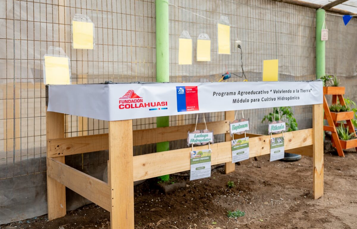 Programa agroeducativo beneficiará a 21 establecimientos estudiantiles de Tarapacá con talleres de hidroponía y compostaje Programa agroeducativo beneficiará a 21 establecimientos estudiantiles de Tarapacá con talleres de hidroponía y compostaje