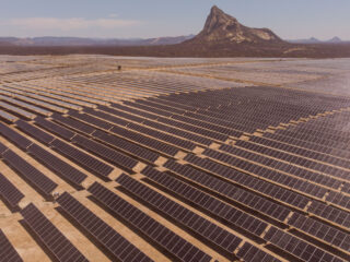TrinaTracker consolida su liderazgo en Argentina y proyecta superar 1,2 GW de capacidad instalada en 2025
