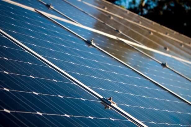 Ahorros significativos en empresas con paneles solares: Plataforma Energía revela claves