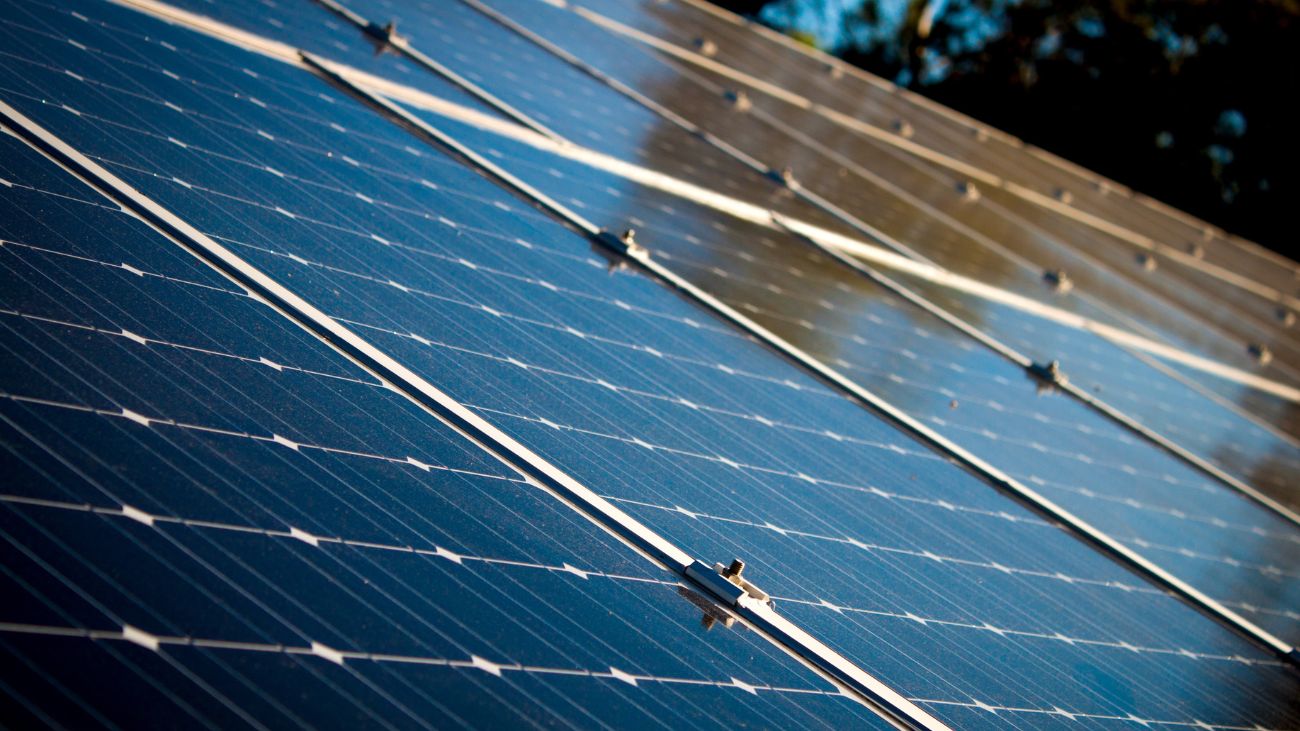 Ahorros significativos en empresas con paneles solares: Plataforma Energía revela claves