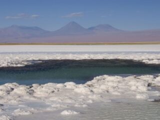 Rechazo al proyecto de potasio NX en Antofagasta