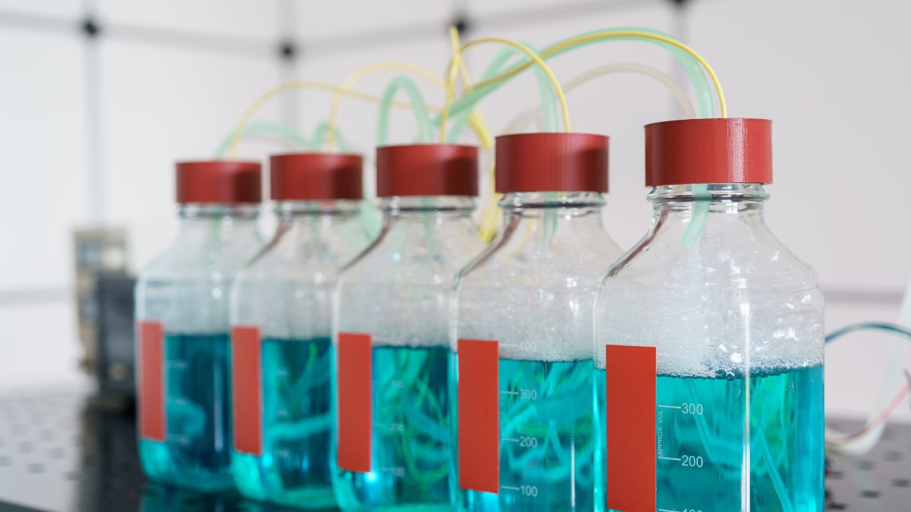 Repsol revoluciona España con Biohidrógeno para energía renovable