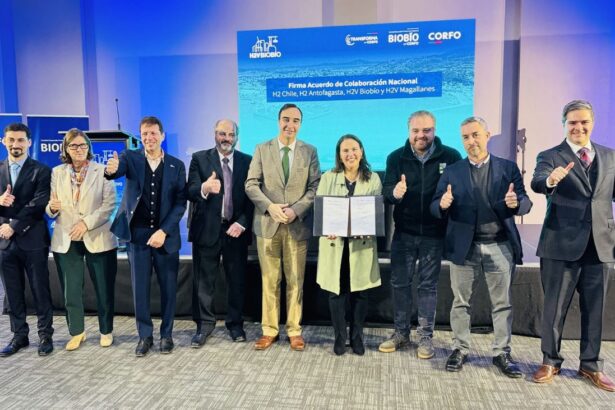 Colaboración regional impulsa estrategia nacional de hidrógeno verde en Chile