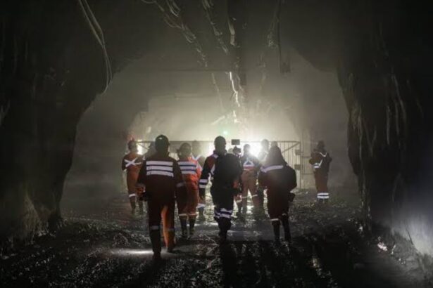 Codelco asegura seguridad: Detienen labores en División El Teniente tras incidente