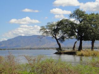 Zambia niega alerta sanitaria en región minera tras derrame de ácido