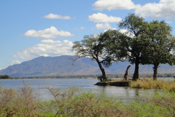Zambia niega alerta sanitaria en región minera tras derrame de ácido