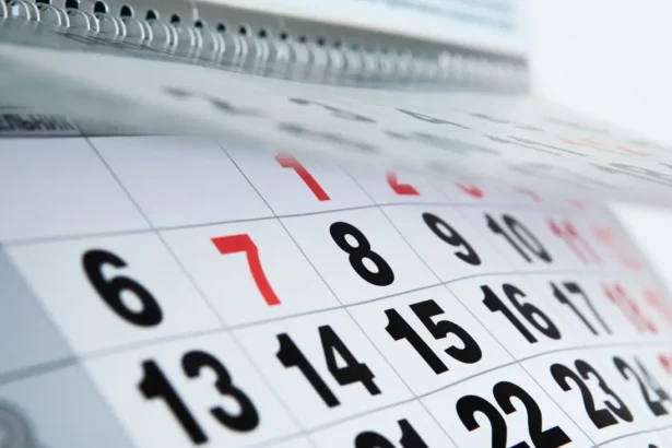 Feriados Chile 2025: ¿Cuándo será el próximo? Revisa fechas exactas y los feriados que vienen