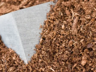 Acuerdo económico clave entre EE. UU. y Rusia podría ofrecer acceso tierras raras