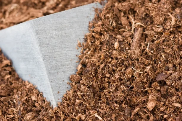 Acuerdo económico clave entre EE. UU. y Rusia podría ofrecer acceso tierras raras