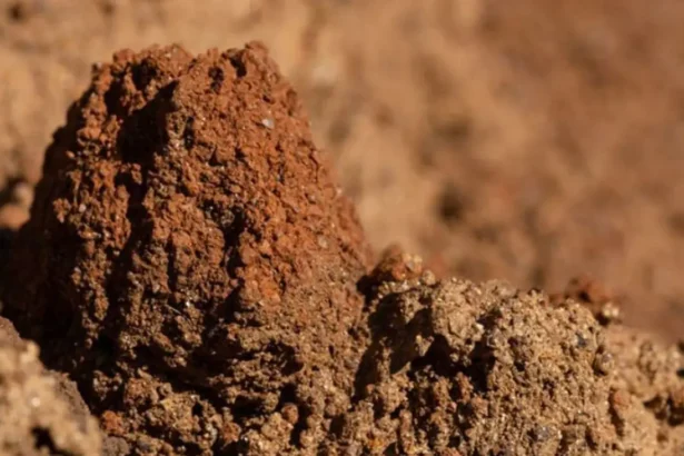 Vulcan Elements: $65 millones para producción de imanes de tierras raras