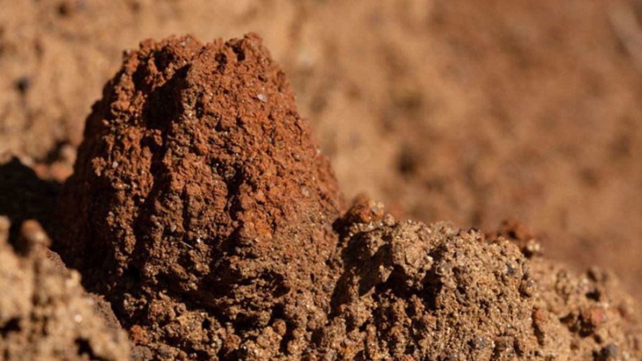 Vulcan Elements: $65 millones para producción de imanes de tierras raras