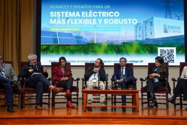 Avanza la flexibilidad en la energía eléctrica chilena: análisis y perspectivas