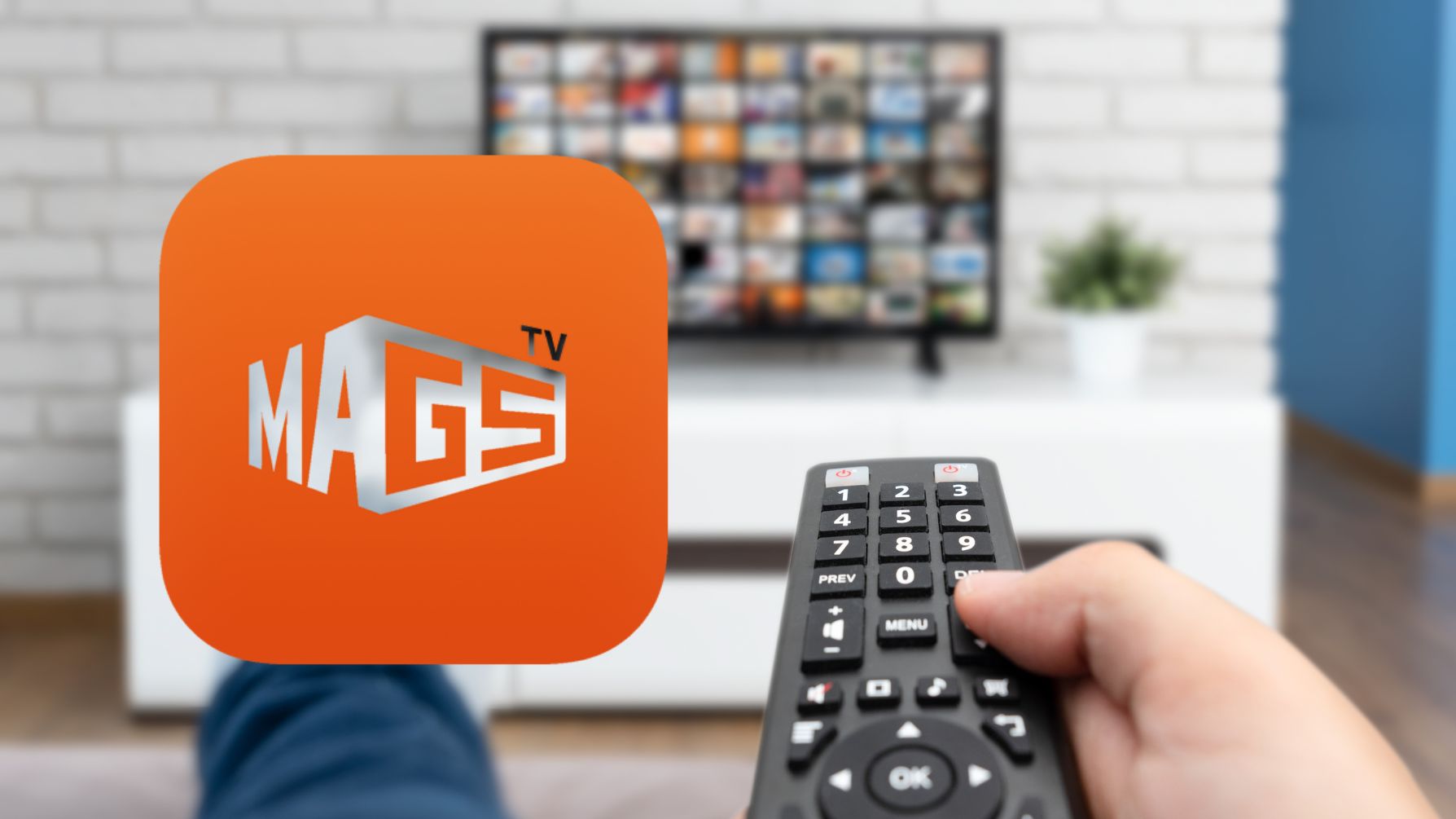 Acceso a Magis TV: Como instalarlo y precauciones