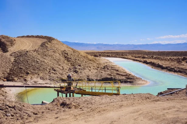 El litio chileno: desafíos y oportunidades en la economía nacional